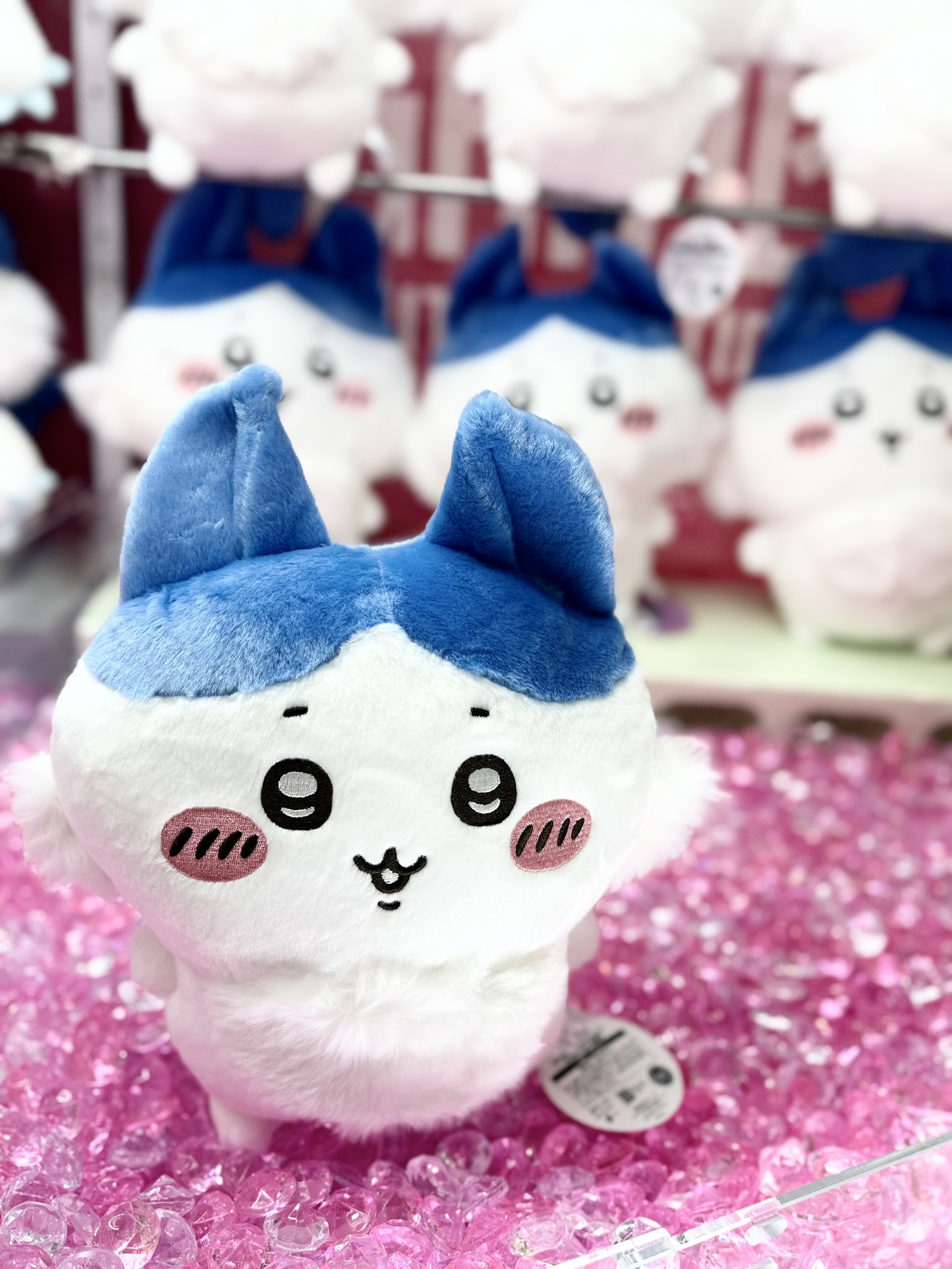 Big Into Energy 6体ぬいぐるみセット　⭐︎バラ売り可能⭐︎ THE MONSTERS Big into Energy シリーズ ぬいぐるみ - メルカリ