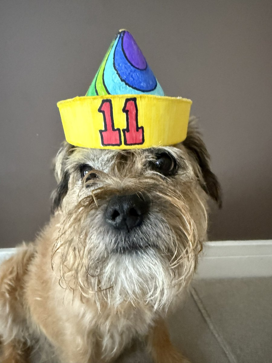 DuncanPickles's tweet image. Pals it’s my BIRTHDAY #ScrappyBirthday 💖 I’ve got to open presents and before I could play we are off in the car TO THE BEACH 😍❤️😍 It’s a long drive but will be sooOoOo worth it *nods* Catch you all later *paw punch* #DuncanPickles #dogsofX #btposse #FridayMotivation