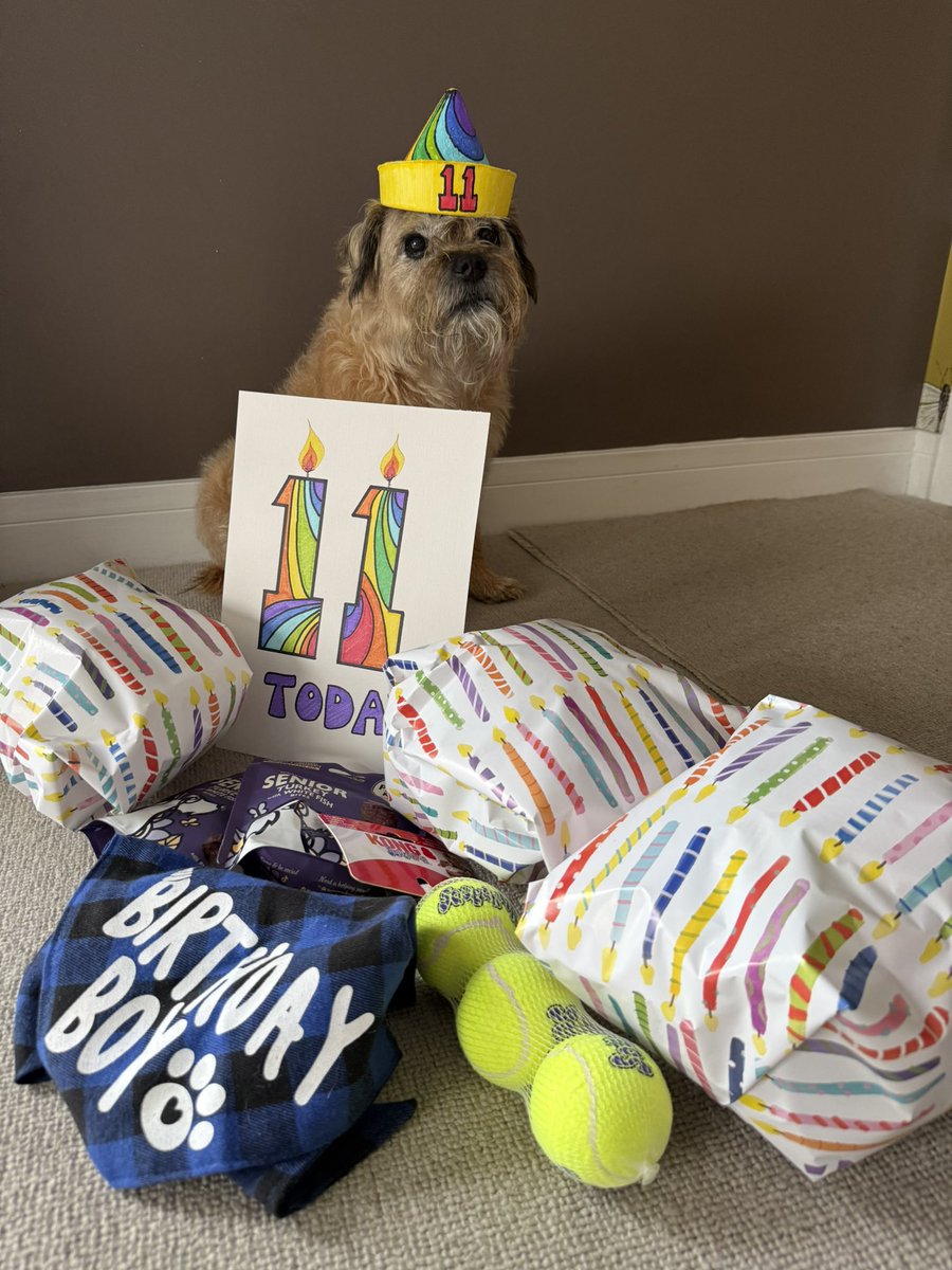 DuncanPickles's tweet image. Pals it’s my BIRTHDAY #ScrappyBirthday 💖 I’ve got to open presents and before I could play we are off in the car TO THE BEACH 😍❤️😍 It’s a long drive but will be sooOoOo worth it *nods* Catch you all later *paw punch* #DuncanPickles #dogsofX #btposse #FridayMotivation