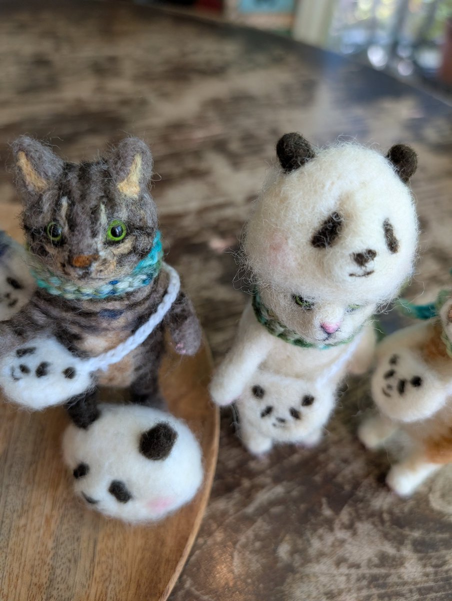 qedstorecafe's tweet image. #ねこねこ展22
もわもわびよりさんから追加のねこたちが到着です。撮って出しwww
パンダ帽子は着脱可能。おそろいのポシェットも。あ、今はサコッシュと言うんでしょうがこのコたちはポシェットの方が似合う気がする🎊
すでにねこねこ展22でご購入済の方は追納品のご購入はご遠慮下さい🙇🙇🙇🙇。