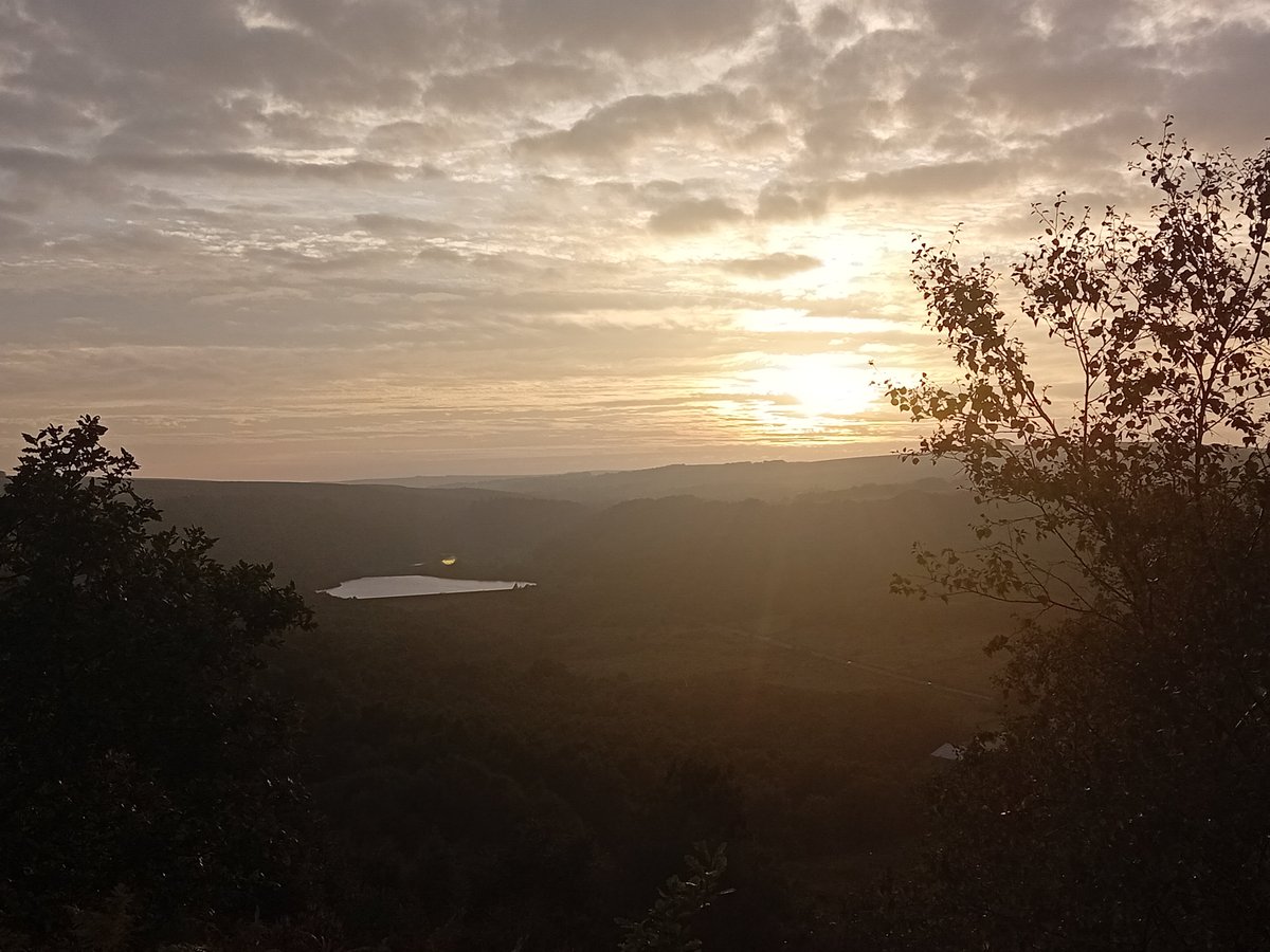 AWilsonmhealth's tweet image. Few miles #walking, felt like mainly hills, last night in the steel city
Views, rivers, trees & a glorious sunset
#TreeClub 馃尦 #Sheffield #nature #summer #Yorkshire #healthylifestyle