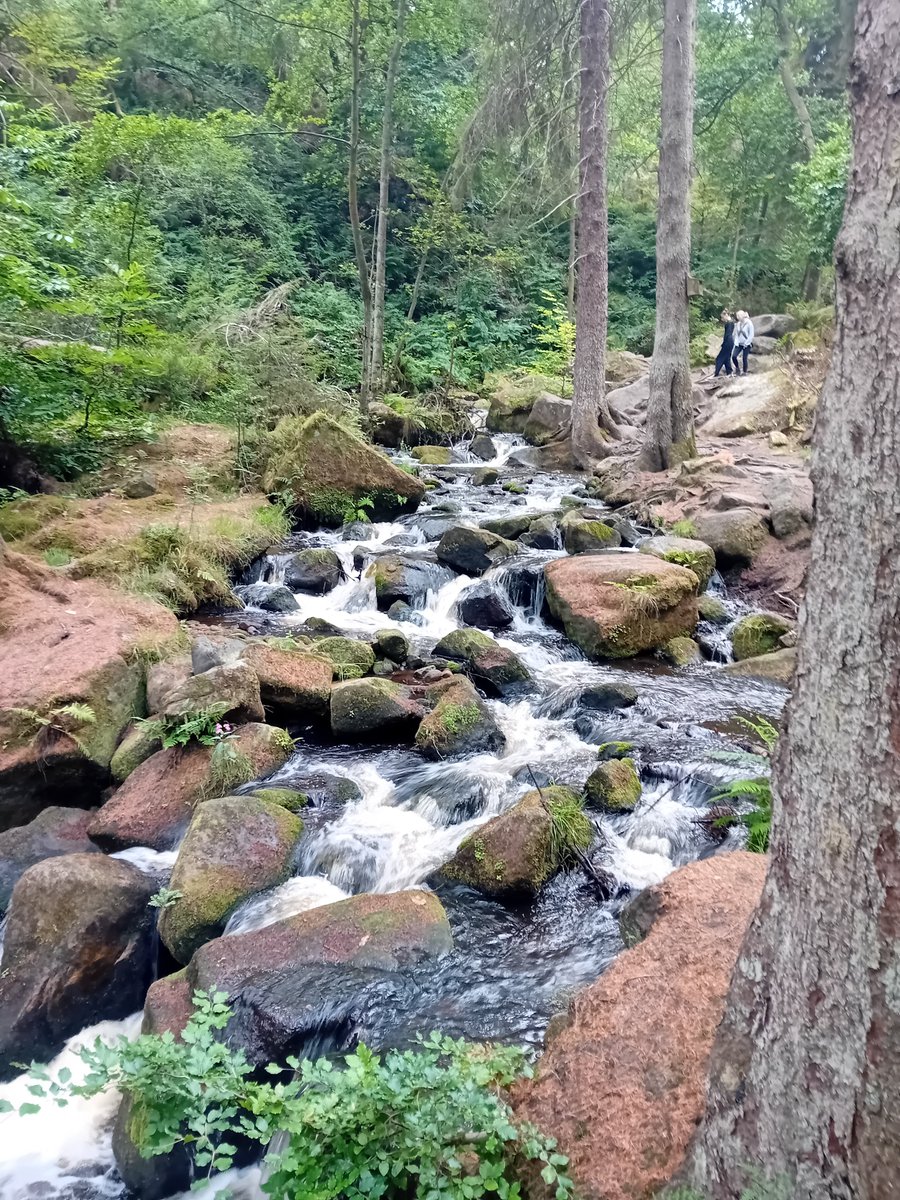AWilsonmhealth's tweet image. Few miles #walking, felt like mainly hills, last night in the steel city
Views, rivers, trees & a glorious sunset
#TreeClub 馃尦 #Sheffield #nature #summer #Yorkshire #healthylifestyle
