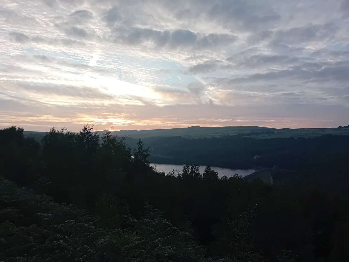 AWilsonmhealth's tweet image. Few miles #walking, felt like mainly hills, last night in the steel city
Views, rivers, trees & a glorious sunset
#TreeClub 馃尦 #Sheffield #nature #summer #Yorkshire #healthylifestyle