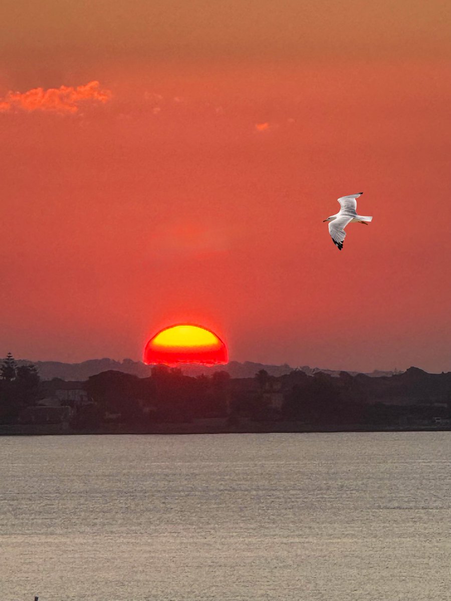 Manuvi_'s tweet image. Ti senti parte di qualcosa senza sapere il perché #sunrise