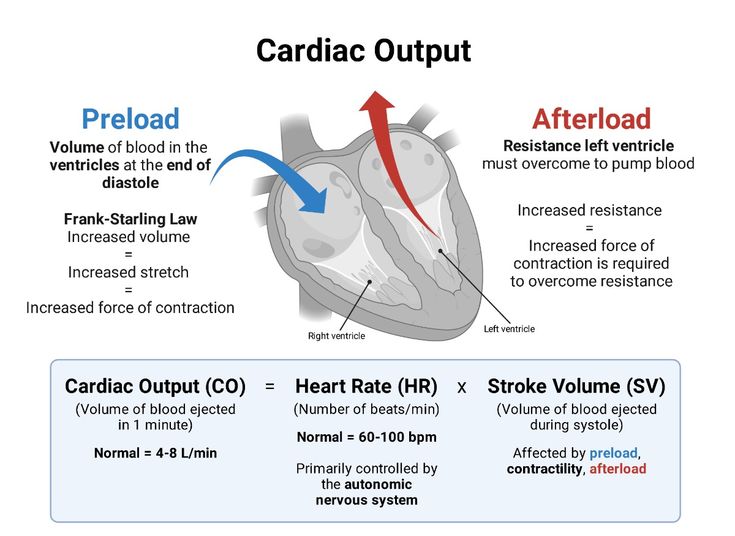 Ahmedata7777's tweet image. Cardiac output = HR x SV