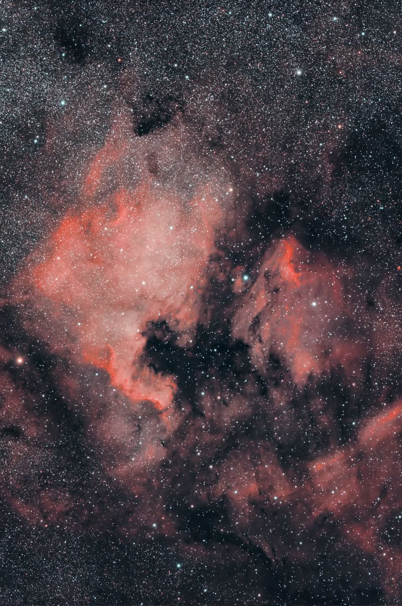 m_aquarock's tweet image. 北アメリカとペリカン星雲 2025.07.25
昨夜はここひと月で一番晴れてました…透明度?は良くなかったですが。
この宙域は初撮影ですがペリカン頭が意外とらしく写ったのでビックリ。
SV555+ASI2600MCP+SV240
60min LiveStacking