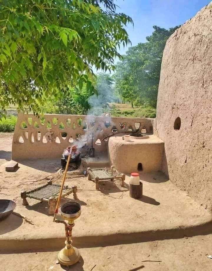 Good afternoon X friends 🌞🌻
Enjoy beautiful afternoon