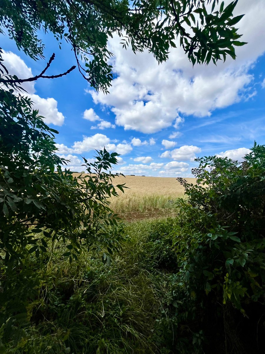 sw37xx's tweet image. A very happy Friday to all….
Have a fantastic day ahead! 💚💙💚
#NatureBeauty #NaturePhotography