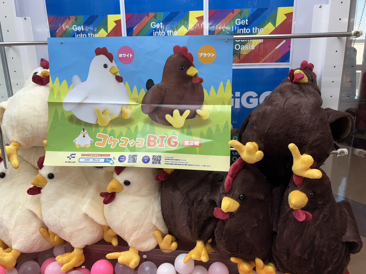 コケコッコBIGぬいぐるみ』入荷しました！ ありそうでなかった