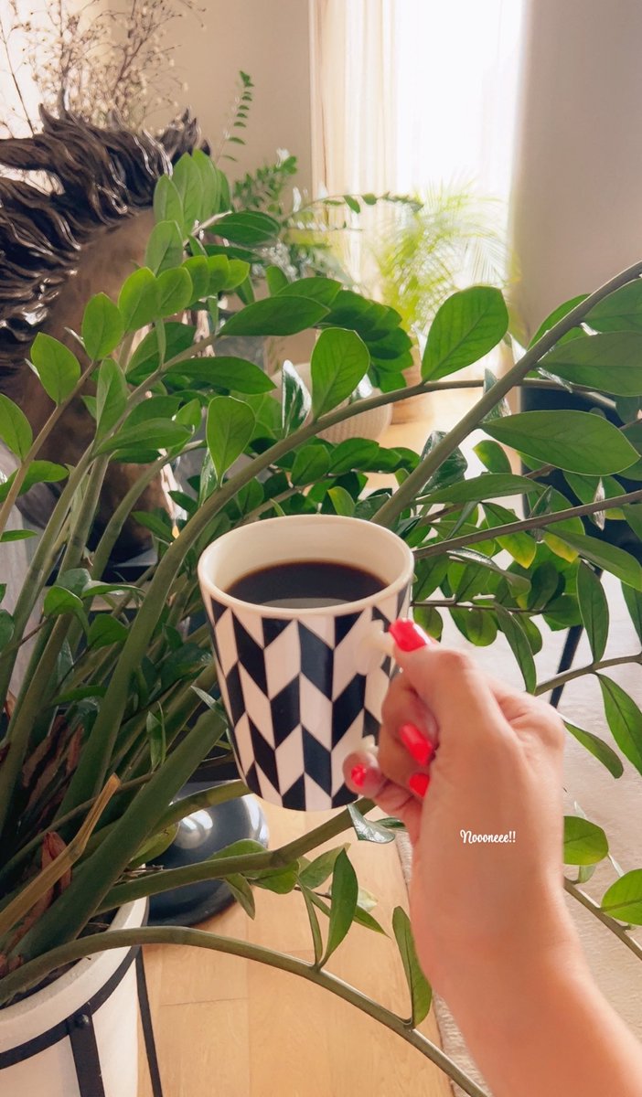 dr_noooneee's tweet image. #يوم_الجمعة
وتضيقُ كأنها لن تتسع، وتتسعُ كأنها لم تضِق يومًا،
وتبقى الحمد لله دائمًا وأبدًا ✨
#صباح_الأشياء_المُشرقة 🍃
#جمعة_مباركة