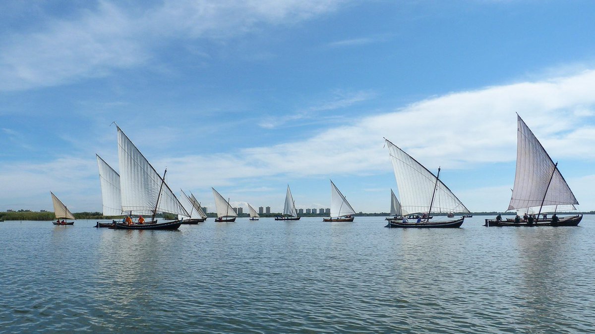 ⛵️ Exhibició de vela llatina a l’#Albufera!

Paisatge, cultura i tradició, a bord d’una navegació ancestral.

Un espectacle que captiva.

🗓 Demà dissabte, a les 12 hores.

📍 Puja a una barca des de #elPalmar, el port de #elSaler o la Gola del Pujol i deixa’t portar pel vent!