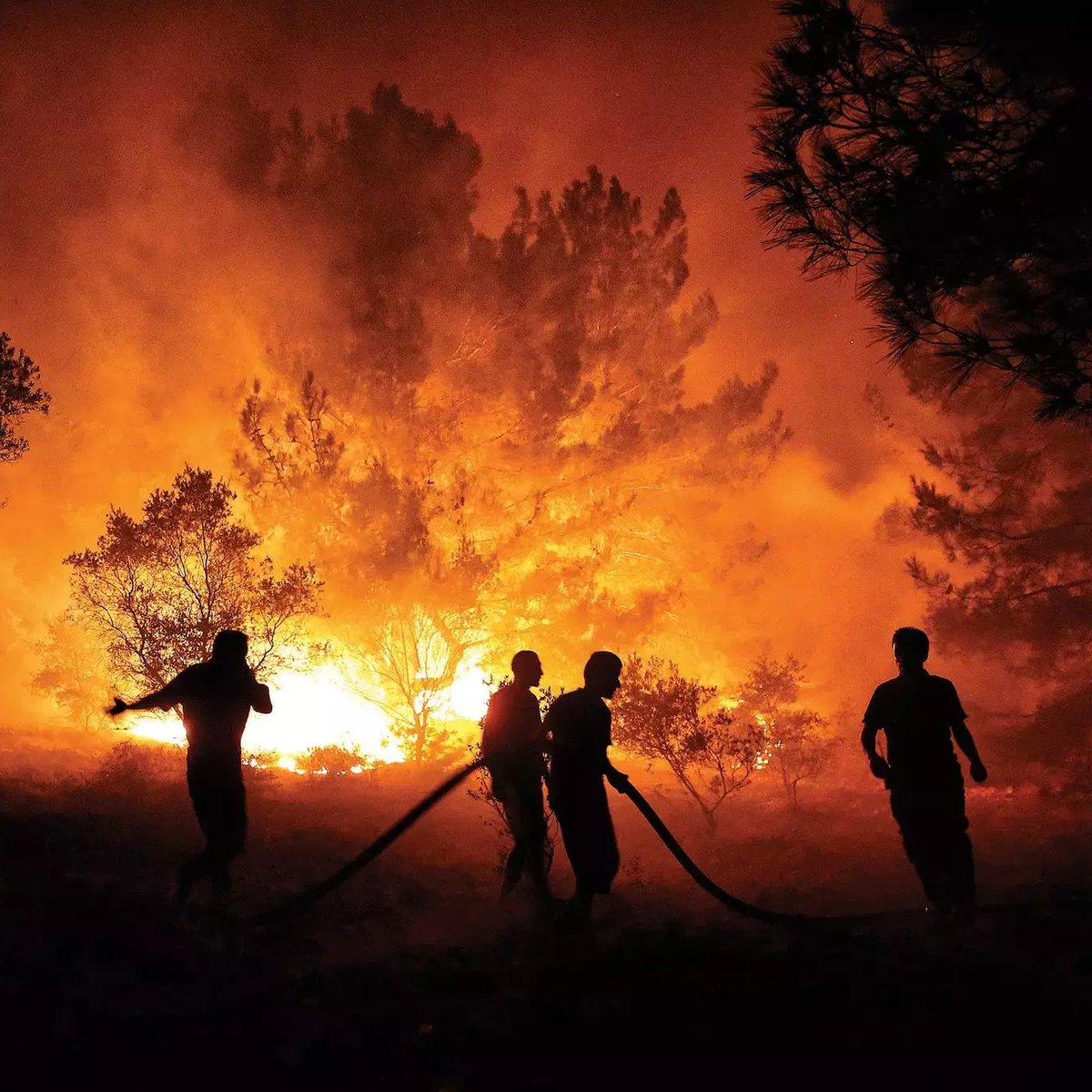 Bilecik'te bir işletme, canlı yayın açarak topladığı yardımlarla yangın bölgesindeki ekiplere toplam 2.500 tost gönderdi.