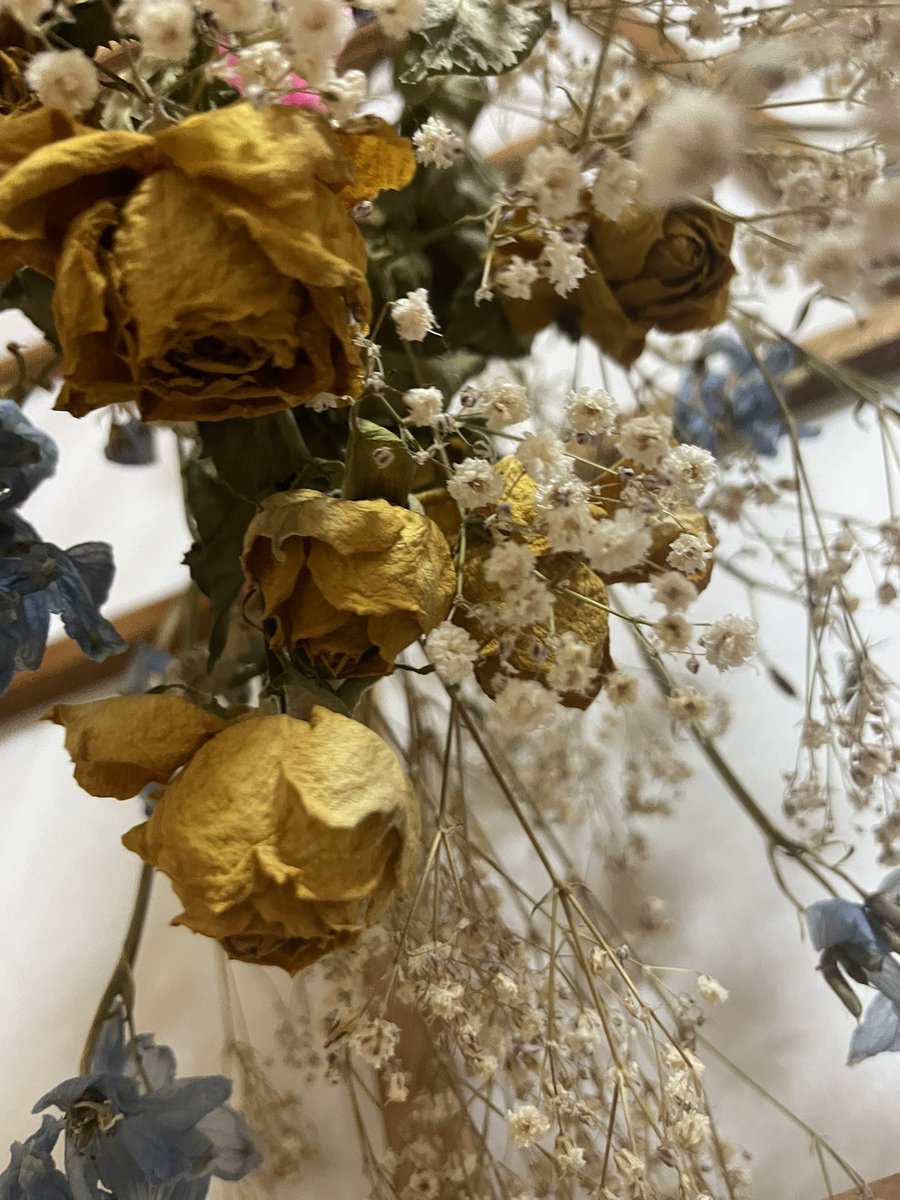 彼氏から貰った花束捨てるの嫌すぎて初のドライフラワー💐
枯れて捨てちゃった花もあるけど、枯れる前につるしたこの子らはいまも綺麗🥲