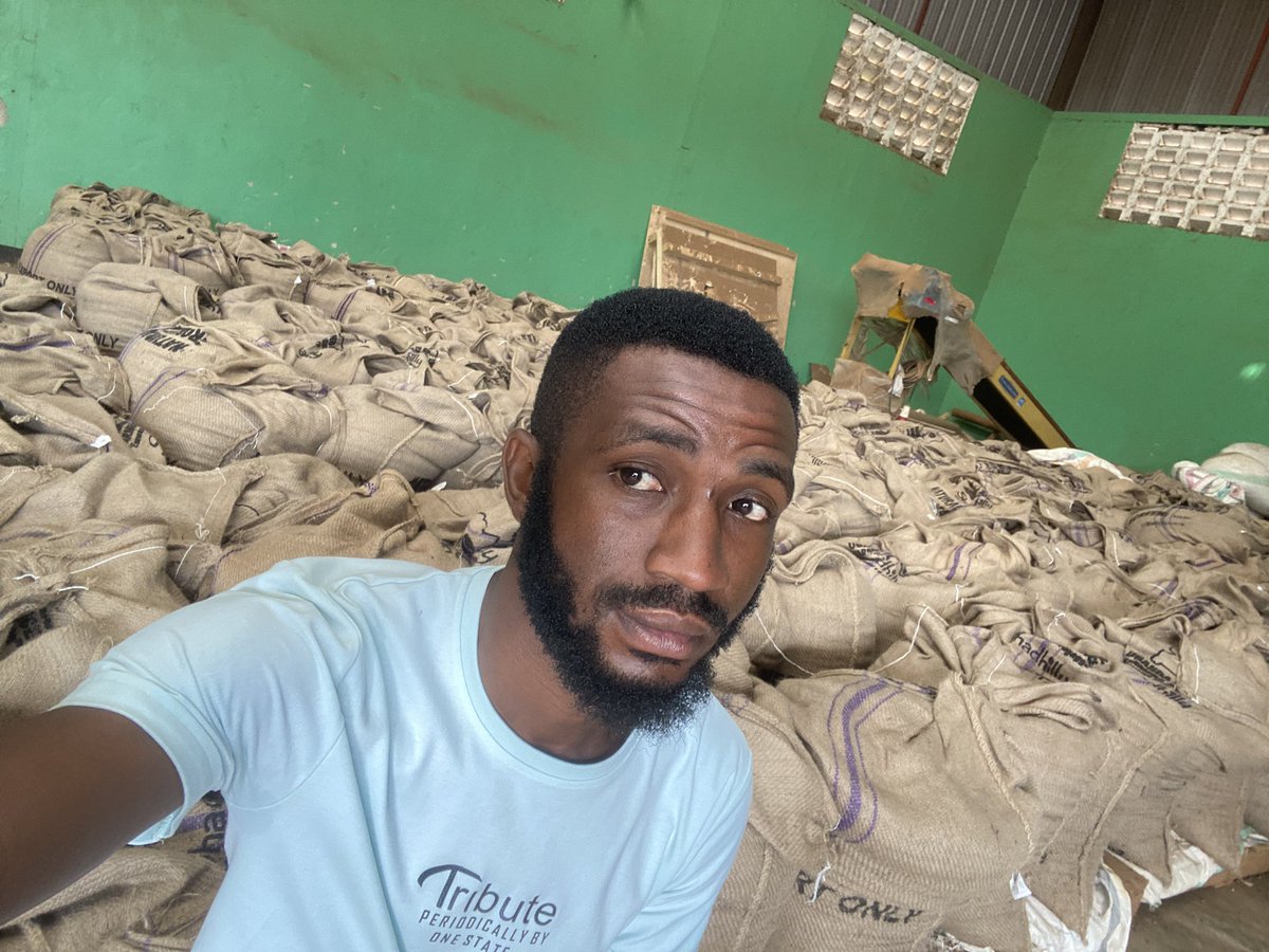 Muganzisecure's tweet image. It’s a long morning here as we load yet  another bitch heading to Italy 🇮🇹 . I had to take one last selfie with the cute coffees before they  head to their new home 
Even wen I will miss them , colleagues the money has come 😂😂
#YouthInCoffee 
Let me now go buy more fertilizers