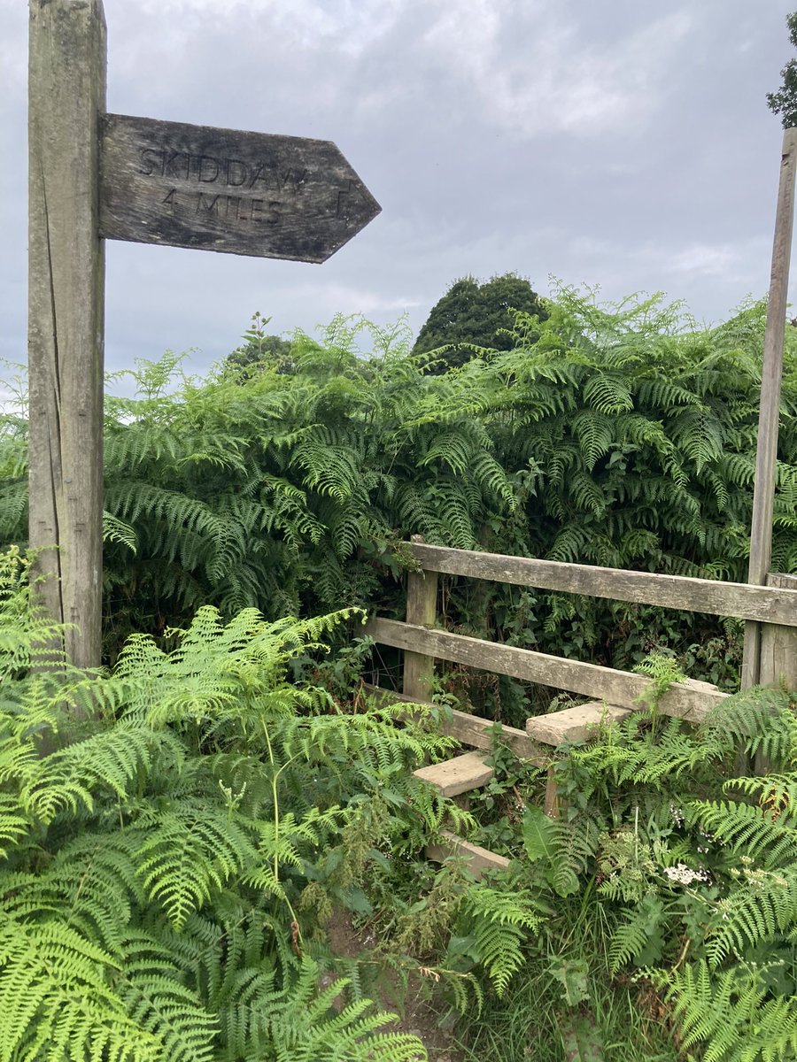 rfj1966's tweet image. #FingerpostFriday @FingerpostFri jungle
