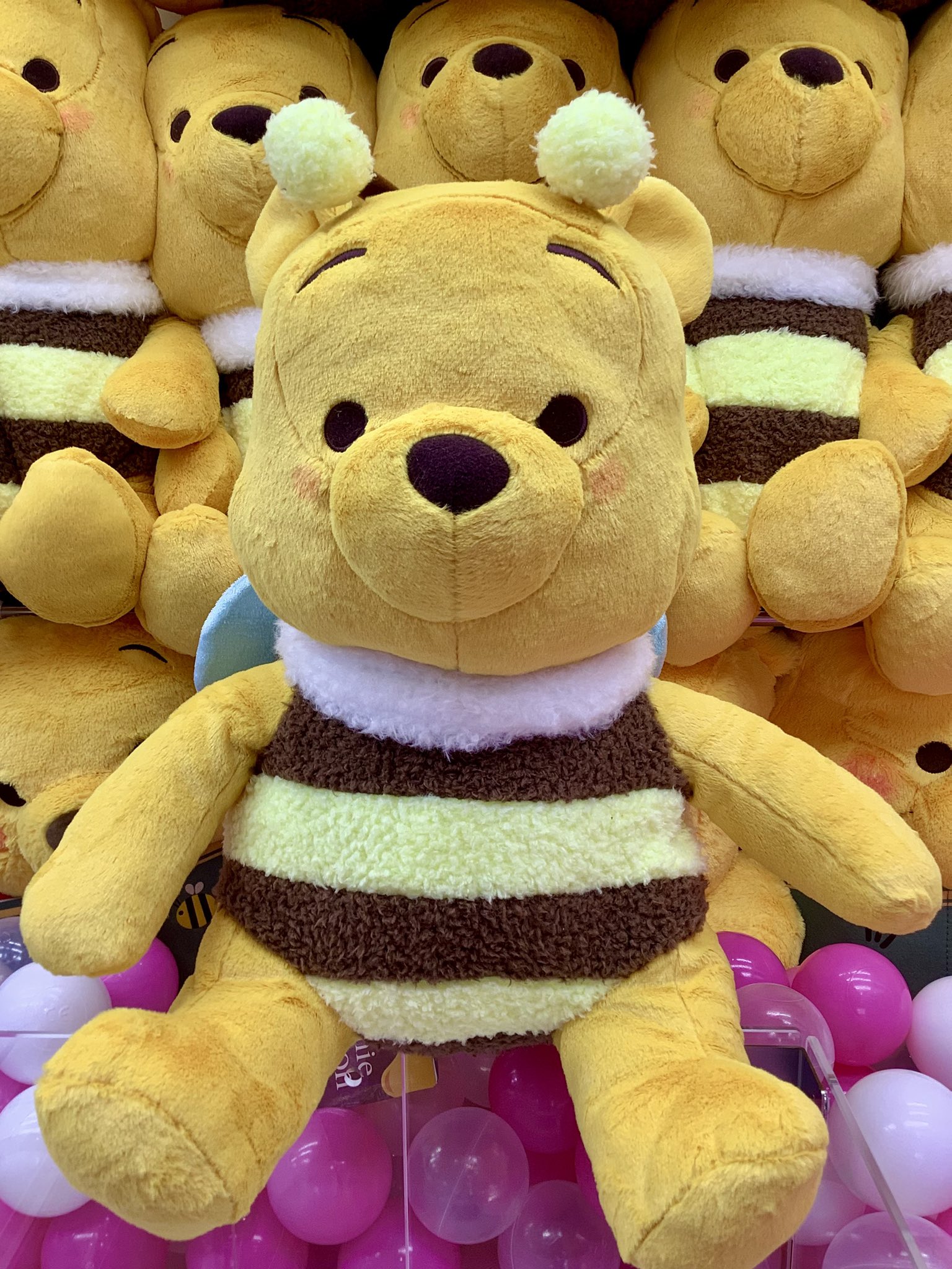 しらぬいページ Amazon.co.jp: じんべえさん まいごのこくじらの夢 もちもち