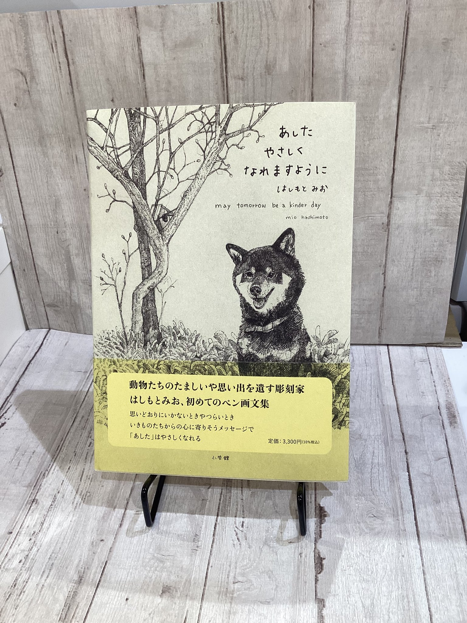 【中古】 わたしのたからもの/飛鳥出版室/四国写植出版制作室 中古】 わたしのたからもの/飛鳥出版室/四国写植出版制作室