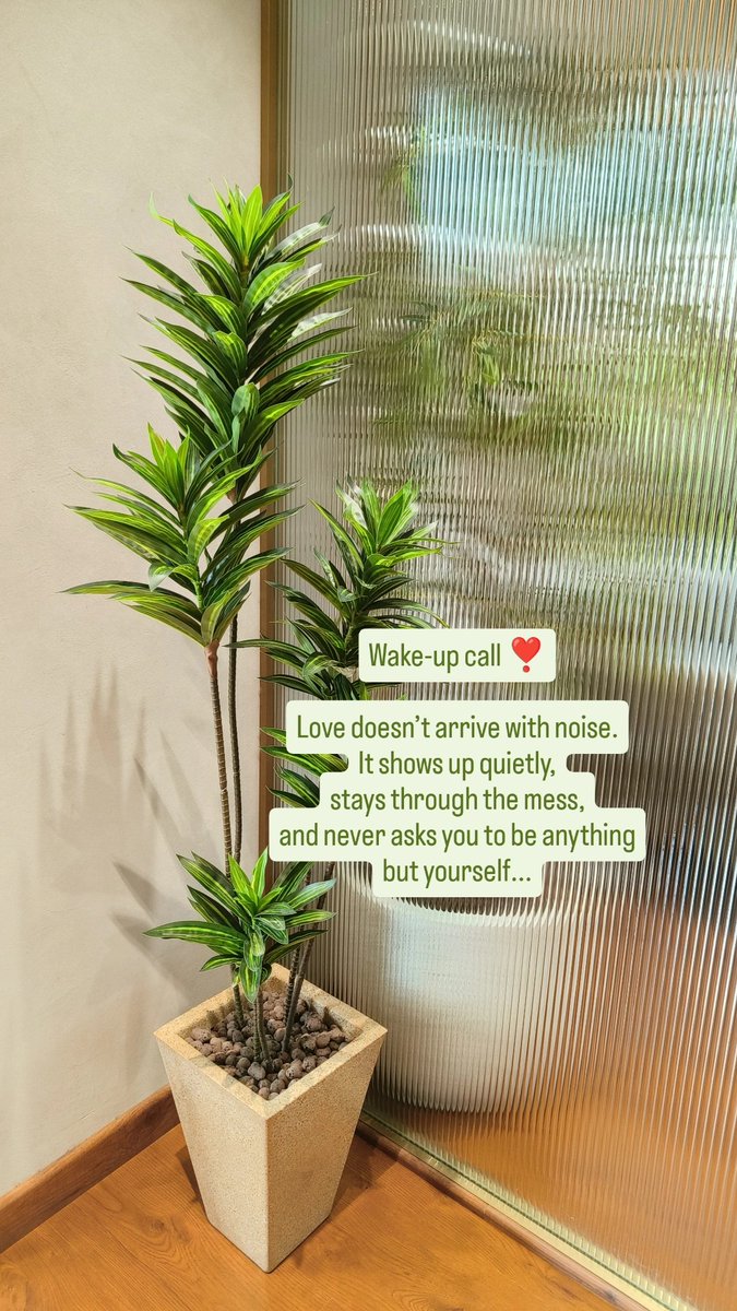 Wake-up call ❣️