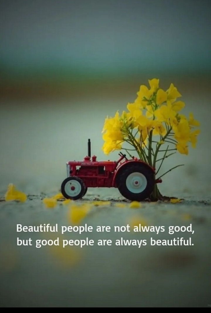 Dramaqueen52041's tweet image. #goodafternoon
#FridayVibes
#FridayStory
☀️🌄💫 Beautiful
Friday
To All 💫🌄☀️