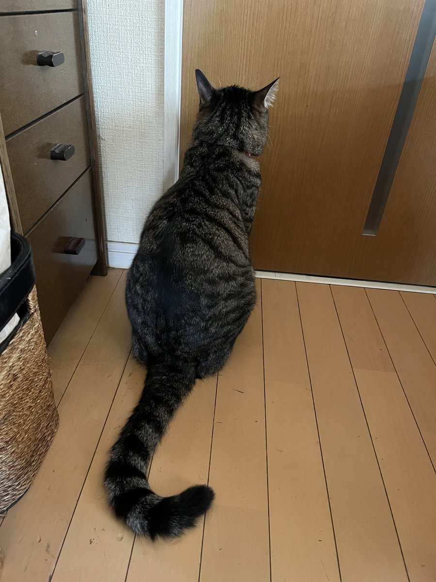 hmm139's tweet image. 何倍になったんやろう