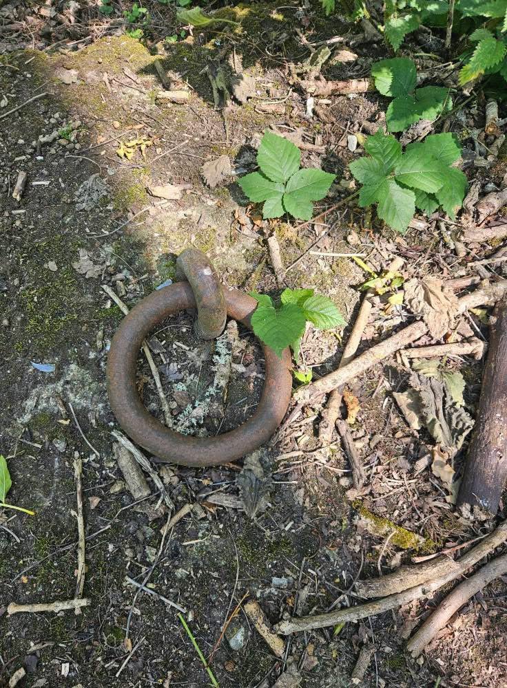 Pleased to learn that the SSZ airship mooring rings I first discovered in 1970 are still in situ at Donkey Hollow on the former WW1 RNAS station at Polegate, East Sussex.