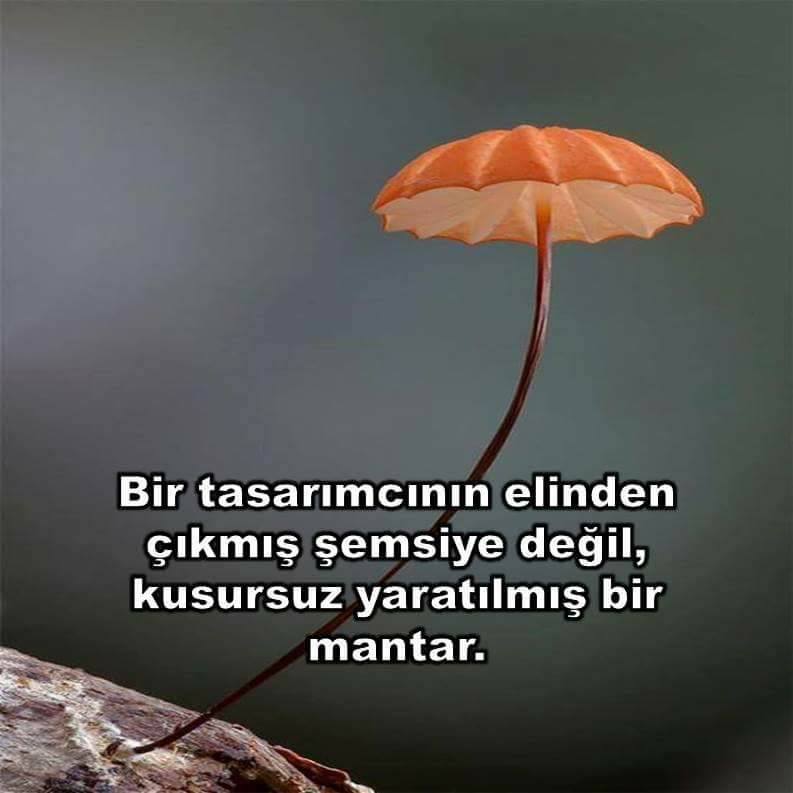 Hayırlı Cumalar...