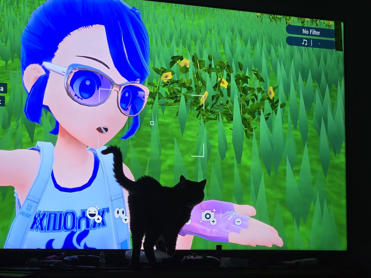Cheesecake_EXE's tweet image. My cat looks so small