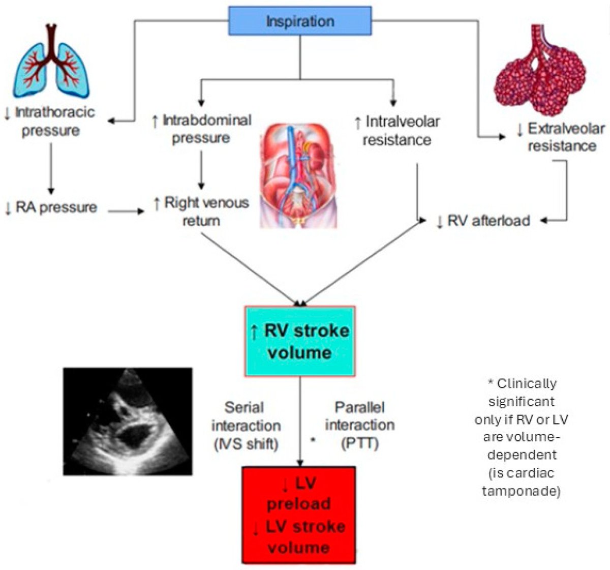 Today's Paper of the Day is:

Echocardiography in the Ventilated Patient: What the Clinician Has to Know

criticalcarereviews.com/latest-evidenc…

Join us to read 1 paper per day and stay up-to-date as we cover the spectrum of critical care across 2025