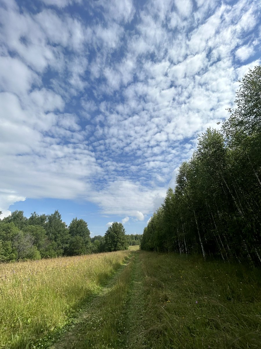 simbiryakov's tweet image. hey @Mira_Network today we went to the forest to pick mushrooms 🍄and touch the grass, but collected only insects 🕷️