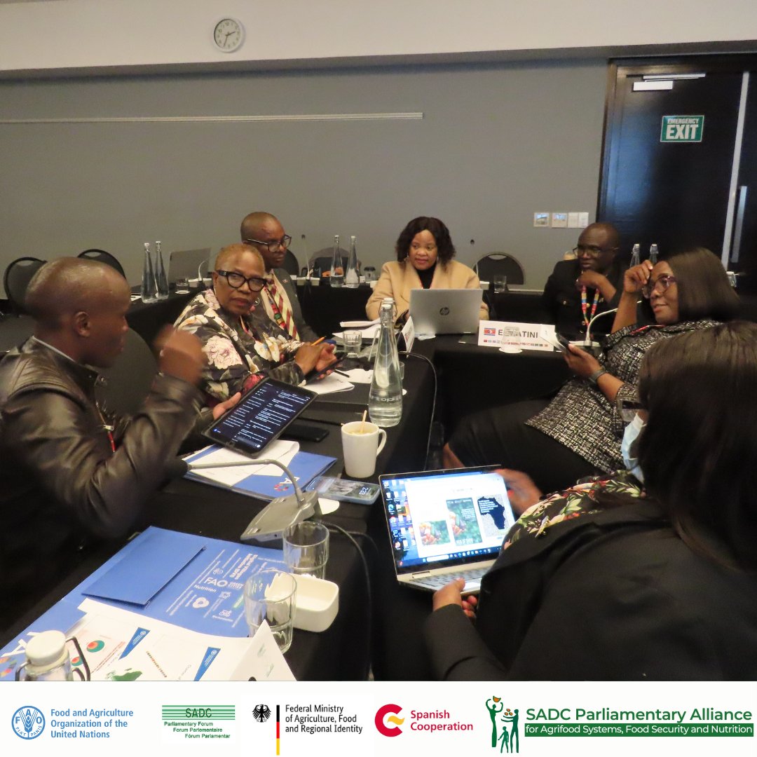 FAO Subregional Office for Southern Africa (@faosfsafrica) on Twitter photo At the <a href="/FAO/">Food and Agriculture Organization</a>–<a href="/sadcpf/">SADC Parliamentary Forum</a> training, SADC parliamentarians strengthened capacities to legislate for the #RightToFood, aligning national frameworks with the Pan-African Model Law and driving sustainable agrifood system transformation across Southern Africa. 🌍
#ZeroHunger At the <a href="/FAO/">Food and Agriculture Organization</a>–<a href="/sadcpf/">SADC Parliamentary Forum</a> training, SADC parliamentarians strengthened capacities to legislate for the #RightToFood, aligning national frameworks with the Pan-African Model Law and driving sustainable agrifood system transformation across Southern Africa. 🌍
#ZeroHunger