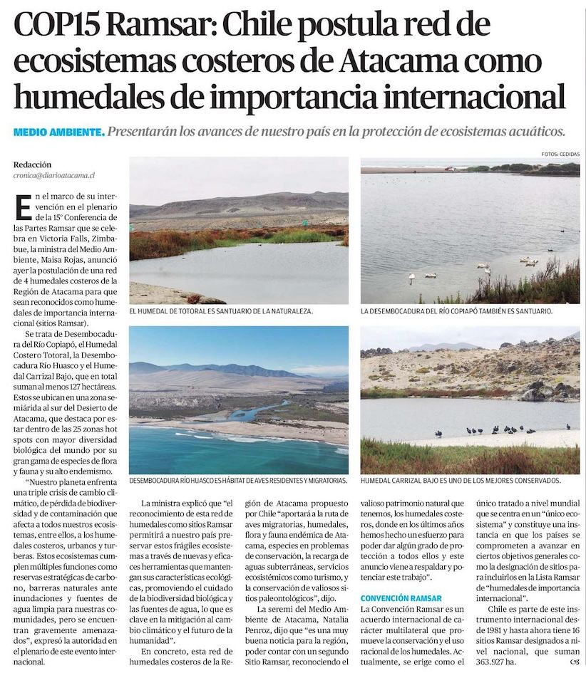 MMAAtacama's tweet image. SEREMI @MMAAtacama Natalia Penroz invita a leer @diarioatacama sobre la COP15 Ramsar: Chile postula red de ecosistemas costeros de la Región de Atacama como humedales de importancia internacional