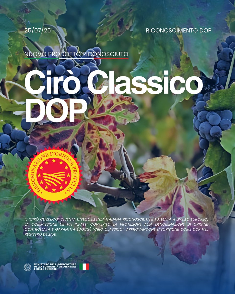 SocialMasaf's tweet image. Il “Cirò Classico” è ufficialmente DOP: un nuovo traguardo per l’eccellenza italiana🇮🇹
Il disciplinare completo è disponibile sul sito del Masaf.
masaf.gov.it/.../ServeBLOB.…