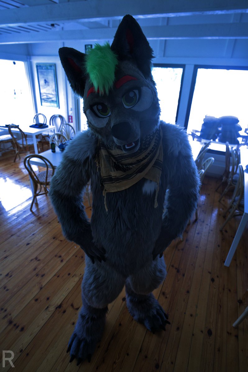 Acra (@acrawolf) on Twitter photo Have a great #FursuitFriday ๐ Iโm just gonna stand here and stare at you ๐
๐ธ <a href="/RolandAdventure/">RolandAdvenfure</a> Have a great #FursuitFriday ๐ Iโm just gonna stand here and stare at you ๐
๐ธ <a href="/RolandAdventure/">RolandAdvenfure</a>