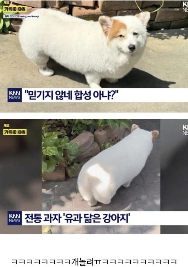 챱 (@lovx11_very) on Twitter photo 