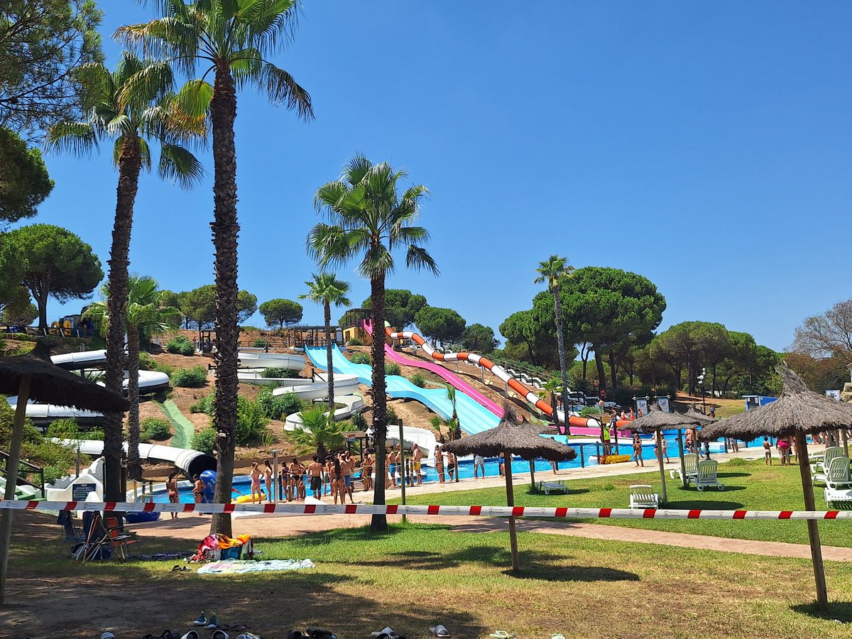 Día especial en #CampaCartaya2 marcado en rojo 📍 en el calendario 📅. El <a href="/aquopoliscar/">Aquopolis Cartaya</a> 🛟 nos recibe con los brazos abiertos y los acampados se lanzan por sus toboganes 🛝 y piscinas 🏊‍♂️🏊‍♀️ <a href="/deportesdipusal/">DeporteDipuSalamanca</a>