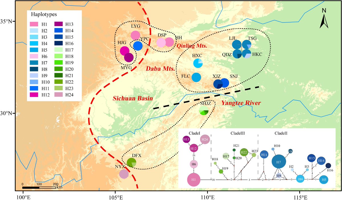 ForestryRes's tweet photo. #ForestryRes #geneticdiversity #patternator #impact
🌄🌿 Pterocarya hupehensis phylogeography: Tectonics and monsoons shaped genetic divergence in this Sichuan Basin relic. 🌱🔬
@MaximumAcademic @FrontPlantSci @agformet
Details: https://t.co/jaea7z8VD0 https://t.co/6cp61HhjFi