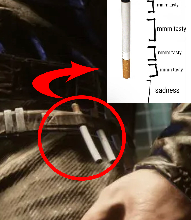 DidCoyleGet's tweet image. He didn&apos;t.