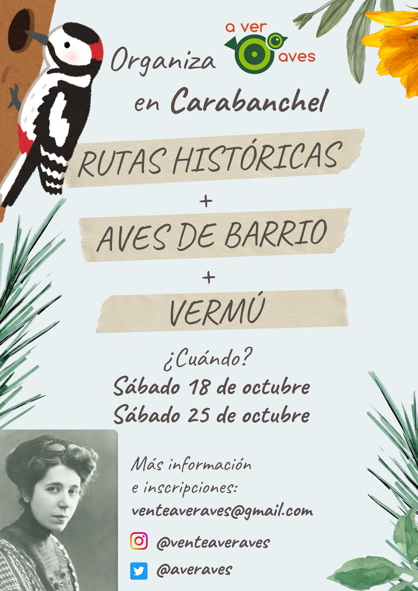Preparadas para recibir el nuevo curso 2025/2026 con todos los honores, con #HistoriAves por el Madrid musulmán y las aves que habitan el núcleo histórico de la ciudad y por #Carabanchel, estas con más aves y aperitivo final en bares de barrio.
Más info: venteaveraves@gmail.com