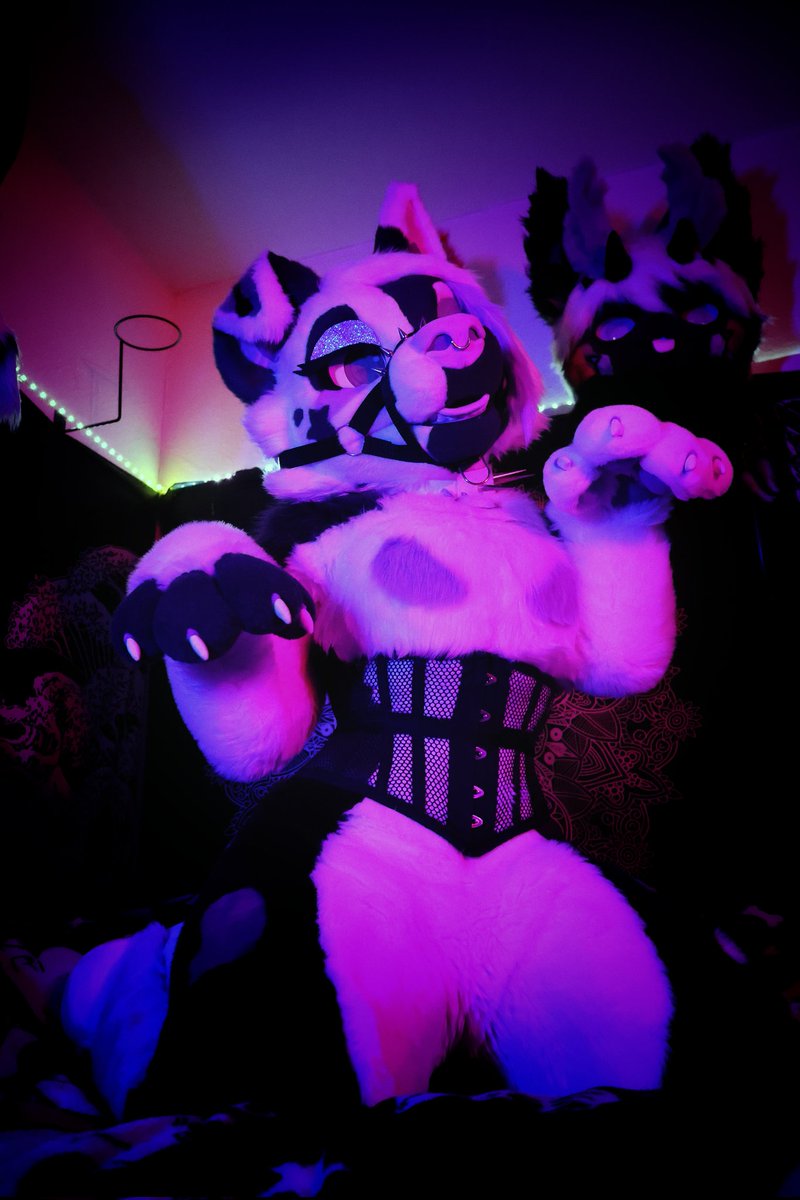 Bailey (@baileystarpup) on Twitter photo Happy Fursuit Friday ♡
📸: <a href="/K__DWG/">K-DWG | 🔞 | Coms closed</a>
🧵: <a href="/MadeByMercury/">Made By Mercury</a>
#FursuitFriday #FursuitEveryday Happy Fursuit Friday ♡
📸: <a href="/K__DWG/">K-DWG | 🔞 | Coms closed</a>
🧵: <a href="/MadeByMercury/">Made By Mercury</a>
#FursuitFriday #FursuitEveryday