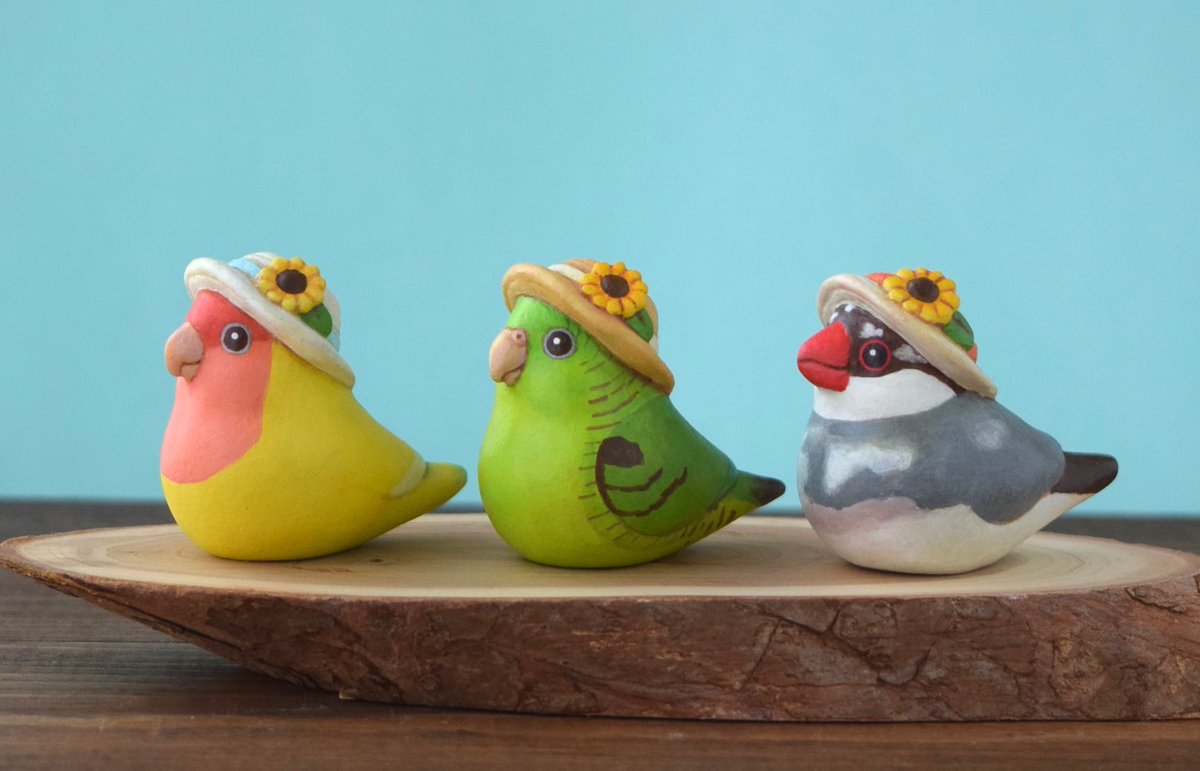 Mochoco17's tweet image. 明日10:00からcreema再開します!
夏のことりたちはコザクラインコ、サザナミインコ、桜文鳥の3羽いますよ👒(桜文鳥は数日遅れて出品予定です。)
うちのこオーダー枠もひとつご用意してますのでよろしければチェックしてみてください♪