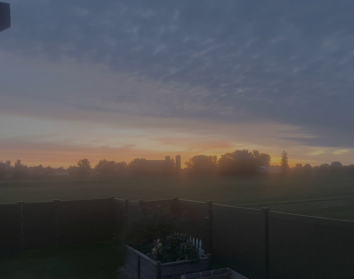 FredButt6's tweet image. Good morning from Davis Junction
