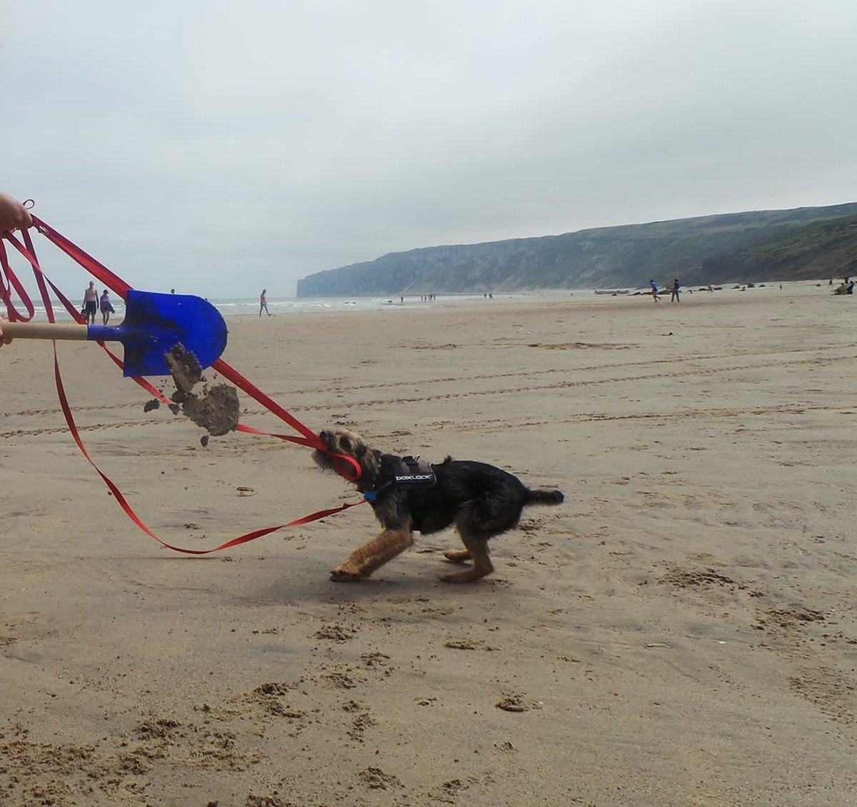 Photo memories from 11 years ago when beach trips were not the sedate affair they tend to be now!  #Btposse
