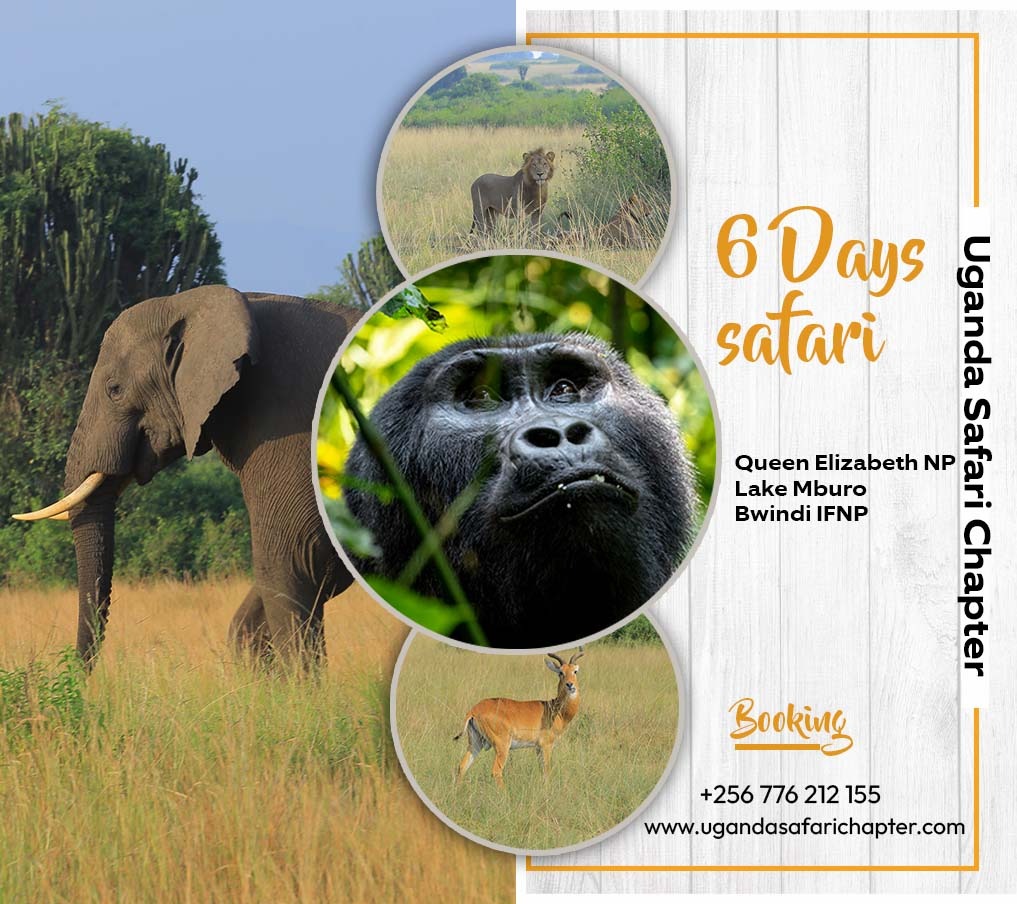 Uganda Safari Chapter (@safarichapter) on Twitter photo Escape to the wild this weekend! Join our exclusive safari tour for breathtaking views, thrilling wildlife encounters, and unforgettable memories. Book now and save 15% on your adventure! #SafariWeekend
info@ugandasafarichapter.com
ugandasafarichapter.com Escape to the wild this weekend! Join our exclusive safari tour for breathtaking views, thrilling wildlife encounters, and unforgettable memories. Book now and save 15% on your adventure! #SafariWeekend
info@ugandasafarichapter.com
ugandasafarichapter.com