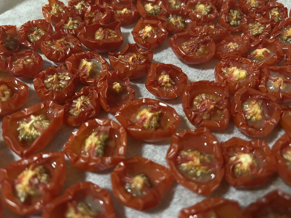 QE3PNkX7IEZPrBh's tweet image. 家庭菜園7月25日
先週収穫した🍅中玉トマト&🍅ミニトマトをオーブン&天日干しで
ドライトマトに…していもらったっす✌️
→🫒オリーブオイルで漬る予定