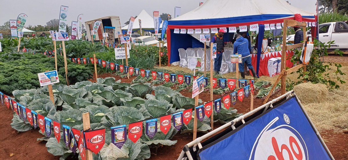 Oshochem's tweet photo. Join us at the Wambugu ATC Exhibition on 25–26 July 2025!
Visit the Osho demo plot &amp; stand, meet our agronomists and discover smart farming solutions.
📍Wambugu ATC, Nyeri https://t.co/oVAUZP5jYF