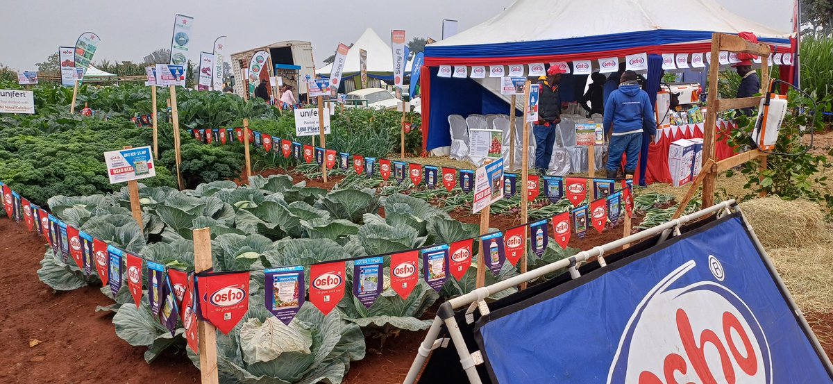 Oshochem's tweet photo. Join us at the Wambugu ATC Exhibition on 25–26 July 2025!
Visit the Osho demo plot &amp; stand, meet our agronomists and discover smart farming solutions.
📍Wambugu ATC, Nyeri https://t.co/oVAUZP5jYF