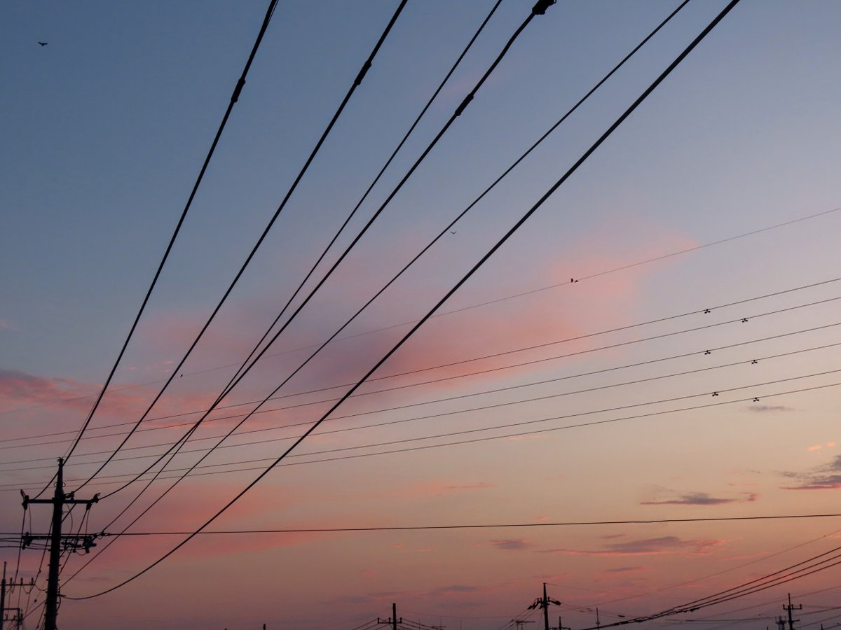 yumeasutw's tweet photo. 夕方になるにつれ
賑やかだった雲達が消え
穏やかな日の入りになりました🌆
空の彼方がオレンジ色に焼け
頭上の #巻雲 が桃色に
染まっています🩷
#夕空 #夕焼け #鉄塔 #電柱 #電線
#マジックアワー #sunset #薄明
#空の名前
#天気の図鑑 #雲の超図鑑
#空 #sky
#a2025 #a0725 #a202507 #a2025074 https://t.co/FLLhNKjpLj