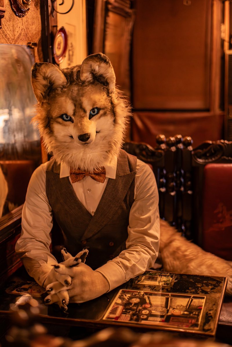 Thank you for 10K follows☕️✨

#二階席 #FursuitFriday