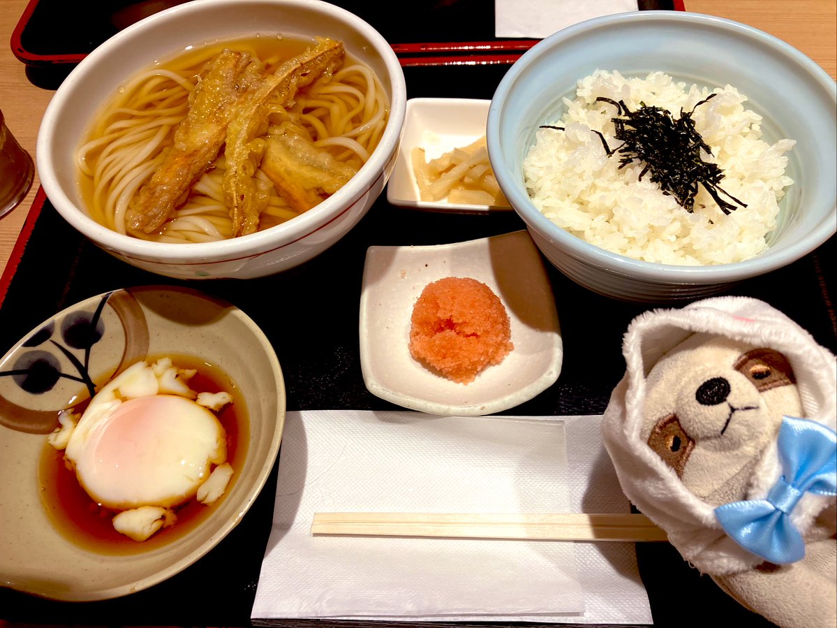 namuru_rururu's tweet image. なむるだよ。おゆうはんは、おうどん🍜🦥💕めんたいこもおいしかった！！

#もちなまけ #なまけもの