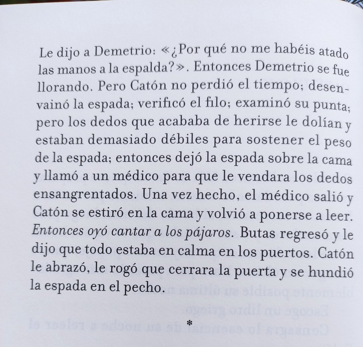 ladylibrorojo's tweet photo. Catón.
#Butes #PQuignard @sextopisoed
(y Mishima)
(y #Seppukku)
(y #LaGranPapesa)
#boom 💥 https://t.co/8KlbXIjSXA